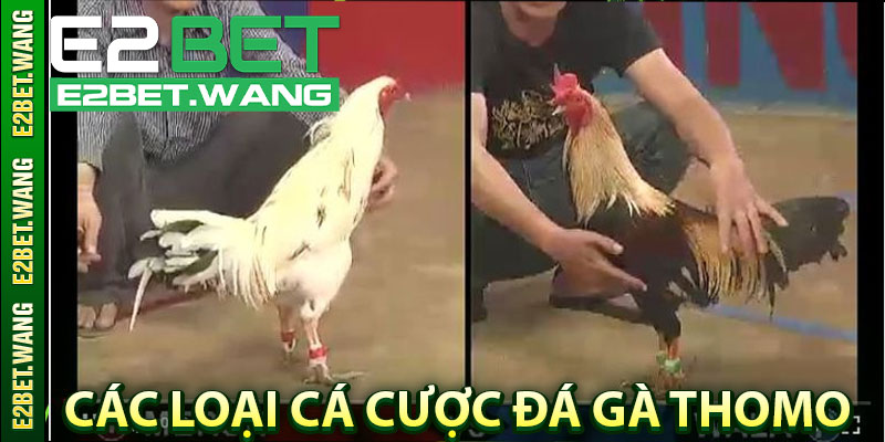 Các Loại Cá Cược Đá Gà Thomo Phổ Biến Nhất Hiện Nay
