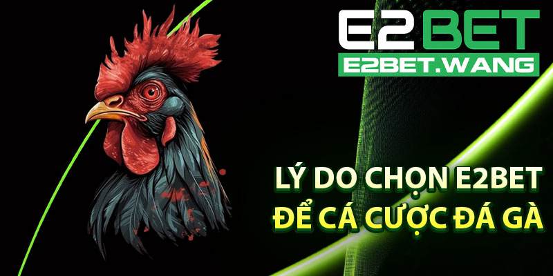 Vì Sao Nên Chọn E2BET Để Cá Cược Đá Gà Cựa Sắt?